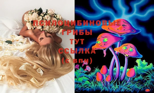 гашишное масло Горняк