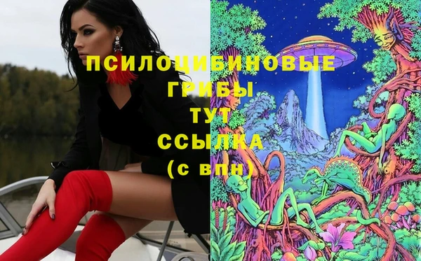 ешки Горнозаводск