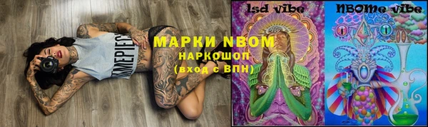 ГАЛЛЮЦИНОГЕННЫЕ ГРИБЫ Горно-Алтайск