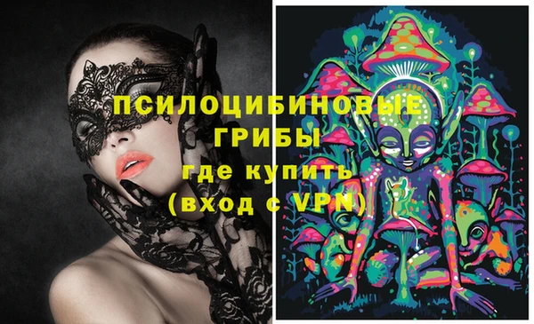 ГАЛЛЮЦИНОГЕННЫЕ ГРИБЫ Горно-Алтайск
