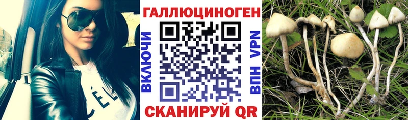 купить  сайты  Чусовой  Галлюциногенные грибы прущие грибы 